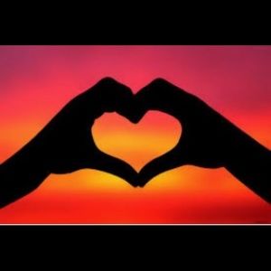 Meet your Posher, Ella